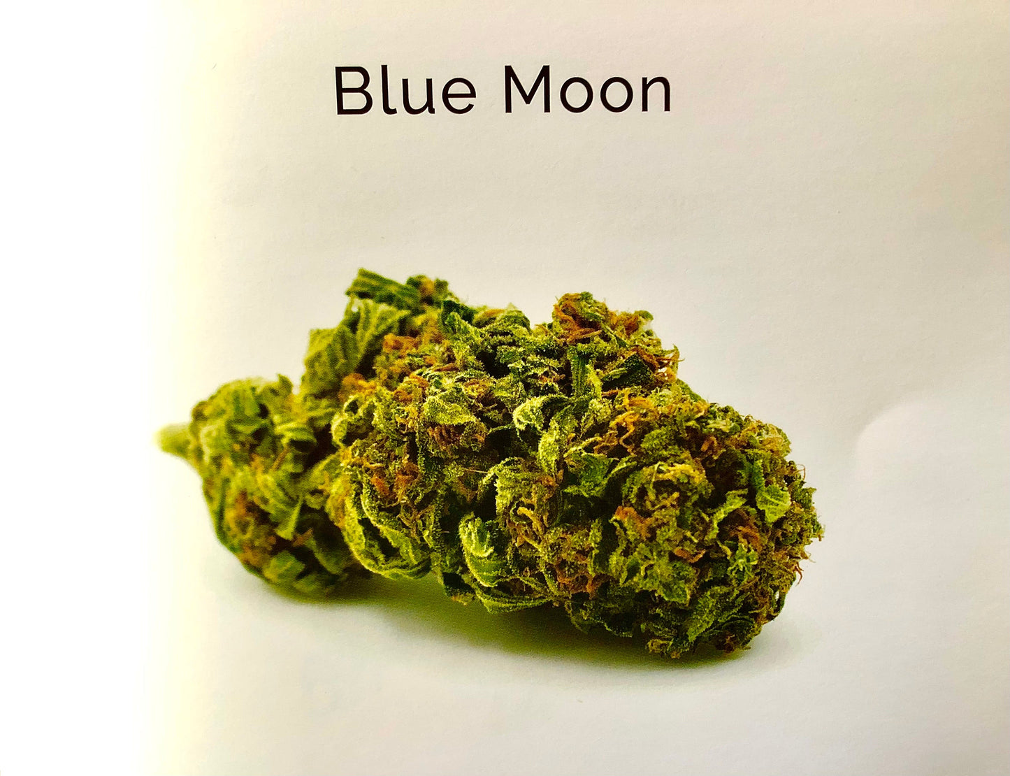 Blue Moon 5 gr