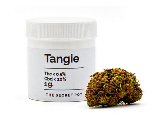 Tangie CBD