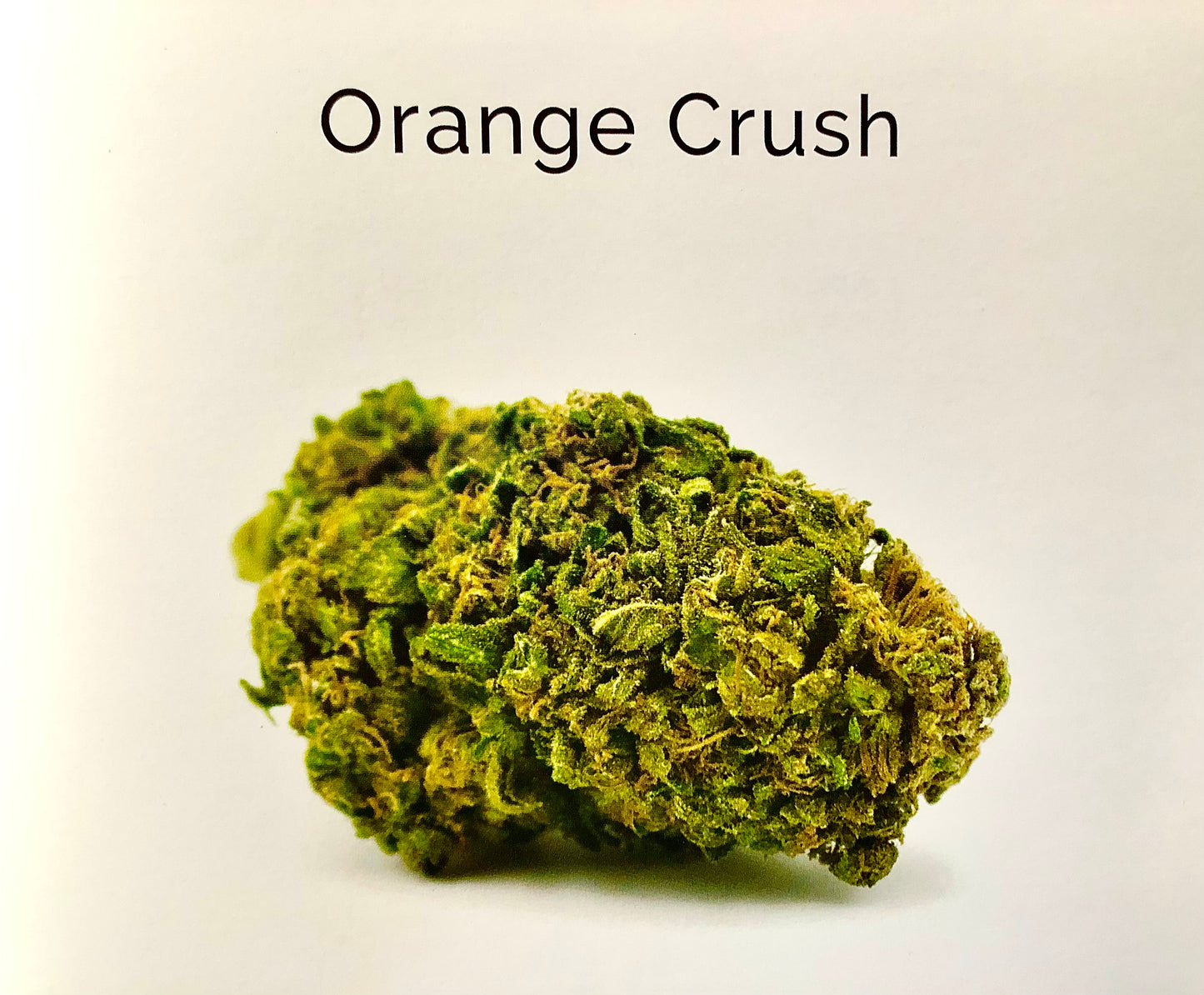 Orange Crush