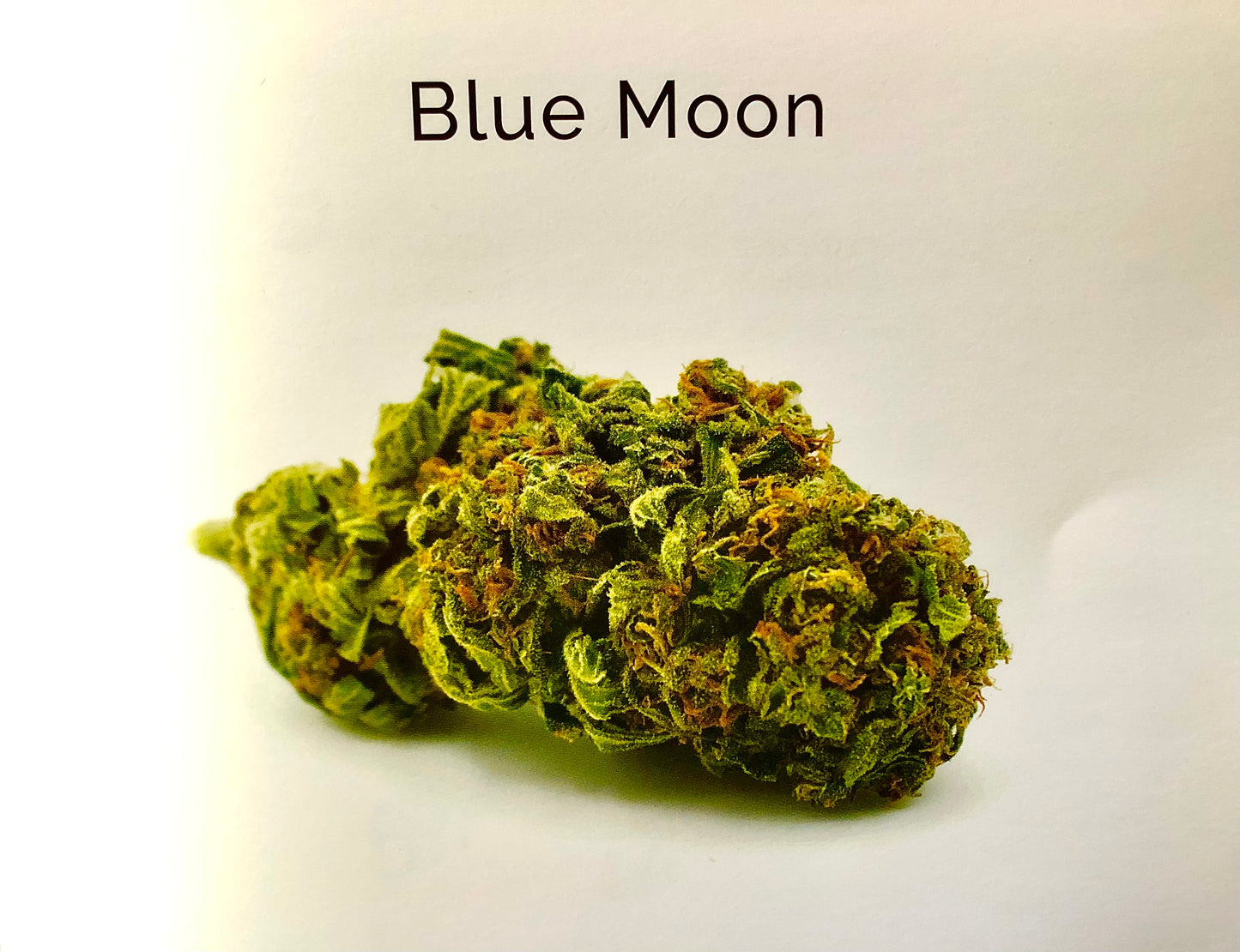 Blue Moon